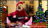 New Year Funny We Wish You a Merry Christmas - Dog playing guitar - Funny Greeting Card