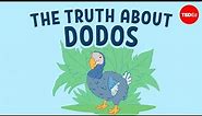 The real reason dodo birds went extinct - Leon Claessens