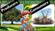 Producers and Consumers; Herbivores Carnivores and Omnivores