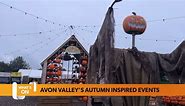 Bristol October 25 What’s On guide: Avon Valley Country Park is offering a spook-tactic autumn of ev
