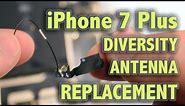 iPhone 7 Plus WiFi Diversity Antenna Replacement