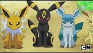 Eevee Evolutions - different possible evolutions fo Eevee - Elite pokemon