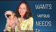 Wants Versus Needs Lesson for Kids