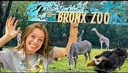 Exploring the Bronx Zoo (New York City) | HAVA MEDIA