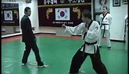 Hapkido Fighting Techniques