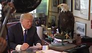 Watch Donald Trump Dodge a Bald Eagle