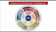 An Assessment of Emotional Intelligence
