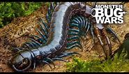 Best Centipede Showdowns | MONSTER BUG WARS