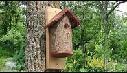 Homemade Bird Houses from a Natural Log (DIY Nesting Bird Box)