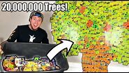 I Built This Out Of My Bulk Pokemon Cards To Help Team Trees Plant 20,000,000!