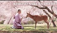 Japanese kimono experience walking with deers in Nara park during sakura season