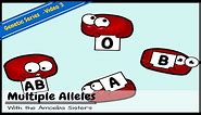 Multiple Alleles (ABO Blood Types) and Punnett Squares