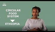 A circular food system for a healthy diet and planet: The Ethiopian case