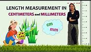 Length Measurement in Centimeters and Millimeters | Length in Centimeters | Length in Millimeters