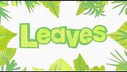 Leaves Names - Leaf shapes (Learn to Identify Trees from their Leaves)