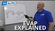Check Engine Light? Codes P0446, P0455: What Causes a Car EVAP Code?
