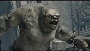 Hogwarts Legacy - Mountain Troll Boss Fight