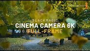 New Full-Frame Blackmagic Cinema Camera 6k | Handheld + Gyro Stabilization Cinematic Footage