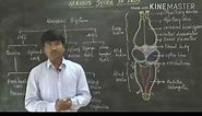 Nervous system of frog by Thirupathi Reddy (TR Sir )