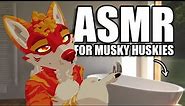 An Extremely Relaxing Furry ASMR for Musky Huskies 🧼 (Personal Attention)