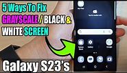 5 Ways To Fix GRAYSCALE / BLACK & WHITE SCREEN on the Samsung Galaxy S23/S23+/Ultra