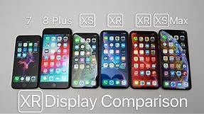 iPhone XR Display Comparison