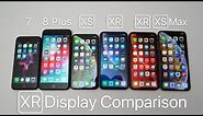 iPhone XR Display Comparison