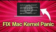 How to Troubleshoot a Mac OS Kernel Panic