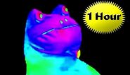 MLG Rainbow Frog 1 hour version