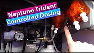 Neptune Apex Trident Controlled Dosing