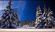 Christmas music, Christmas instrumental Music, "Let It Snow" by Tim Janis