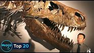 Top 20 Biggest Dinosaurs to Have Ever Existed on Earth