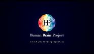 Overview of the Human Brain Project