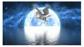 Unicorn Spirit Animal Symbolism & Meaning