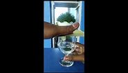 Percobaan Tekanan Udara - Air dalam gelas dan kertas dibalik