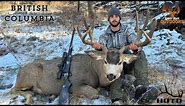 3 year pursuit of “Lucky” | BC mule deer hunt