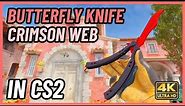 ★ CS2 Butterfly Knife Crimson Web | CS2 Knife In-Game Showcase [4K]