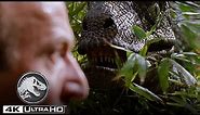 “Clever Girl”: Muldoon Is Eaten by a Velociraptor | Jurassic World