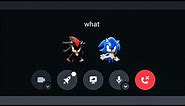 An Average Sonic and Shadow Discord Call