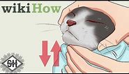 WikiHow Images