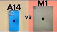 Apple M1 vs A14 Bionic Speed Test - iPad Pro 2021 vs iPhone 12 Pro Max