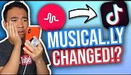 MUSICAL.LY IS NOW TIK TOK! UPDATE REVIEW *NEW*