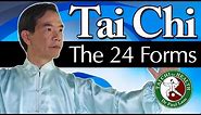 Tai Chi the 24 Forms Video | Dr Paul Lam | Free Lesson and Introduction