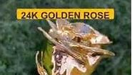 24K Golden Rose | Reviews | Best Gift | Order Now