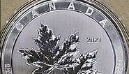 10 oz Silver Maple Leaf Coin at Costco