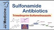 Sulfonamide Antibiotics | Bacterial Targets, Mechanism of Action, Adverse Effects