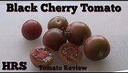 Black Cherry Tomato | Solanum lycopersicum |Tomato Review