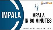Introduction to Impala | Impala Hadoop Tutorial | Cloudera Impala | Hive vs Impala | Intellipaat