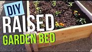 Building a Raised Garden Bed using Planter Blocks & Lumber | DIY Step-by-Step