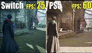 Nintendo Switch vs. PS4 vs. PS5 | Hogwarts Legacy